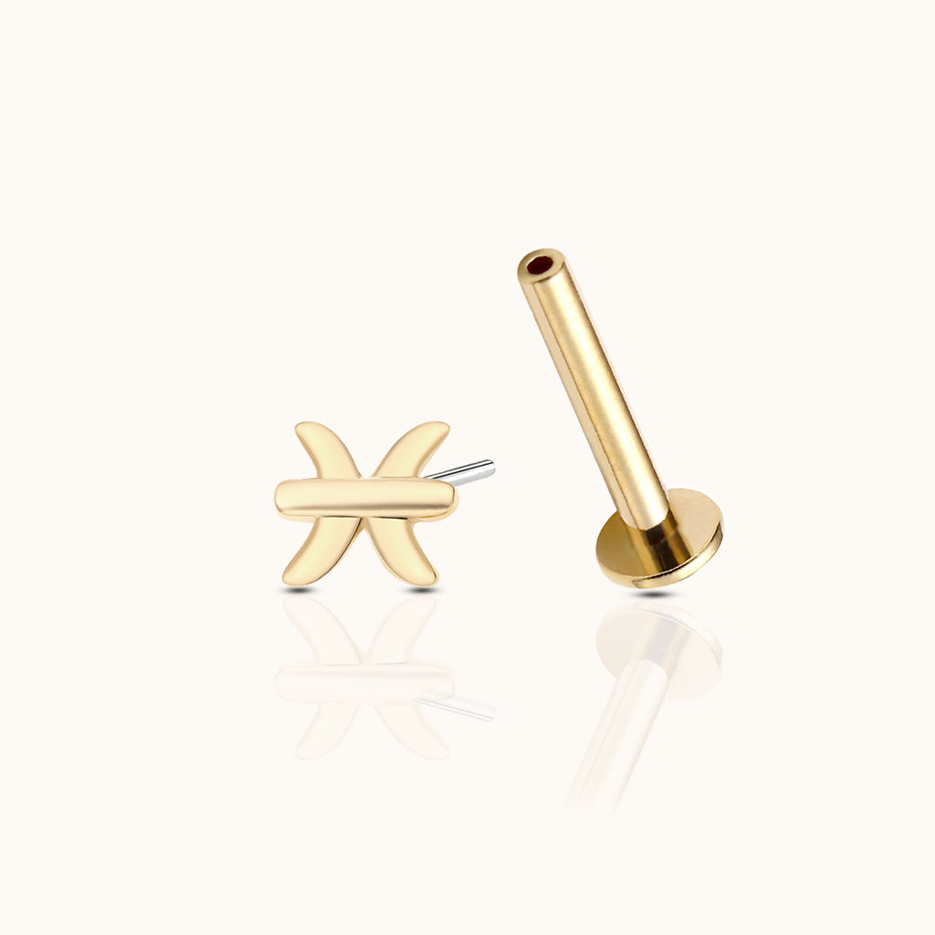 14K Solid Gold Pisces Mar Birth Water Sign Zodiac Astrology Constellation Threadless Labret Flat Back Earring by Doviana