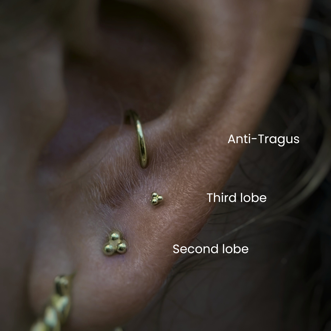 Anti-Tragus Piercing NYC | Safe Needle Piercing at DOVIANA