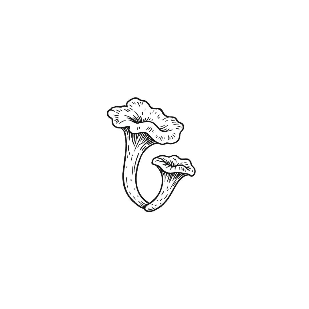 Wild Mushrooms – Nature’s Quiet Magic by DOVIANA Tattoo Studio (width 0.5‘’)