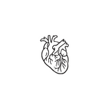 You’ve Got the Nerve — A Whole Lotta Heart by DOVIANA Tattoo Studio (height 0.6‘’)