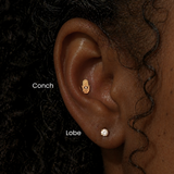 Close-up of a curated ear featuring a gold conch piercing with a hamsa hand stud and a diamond lobe stud, labeled to show conch and lobe piercing placements.