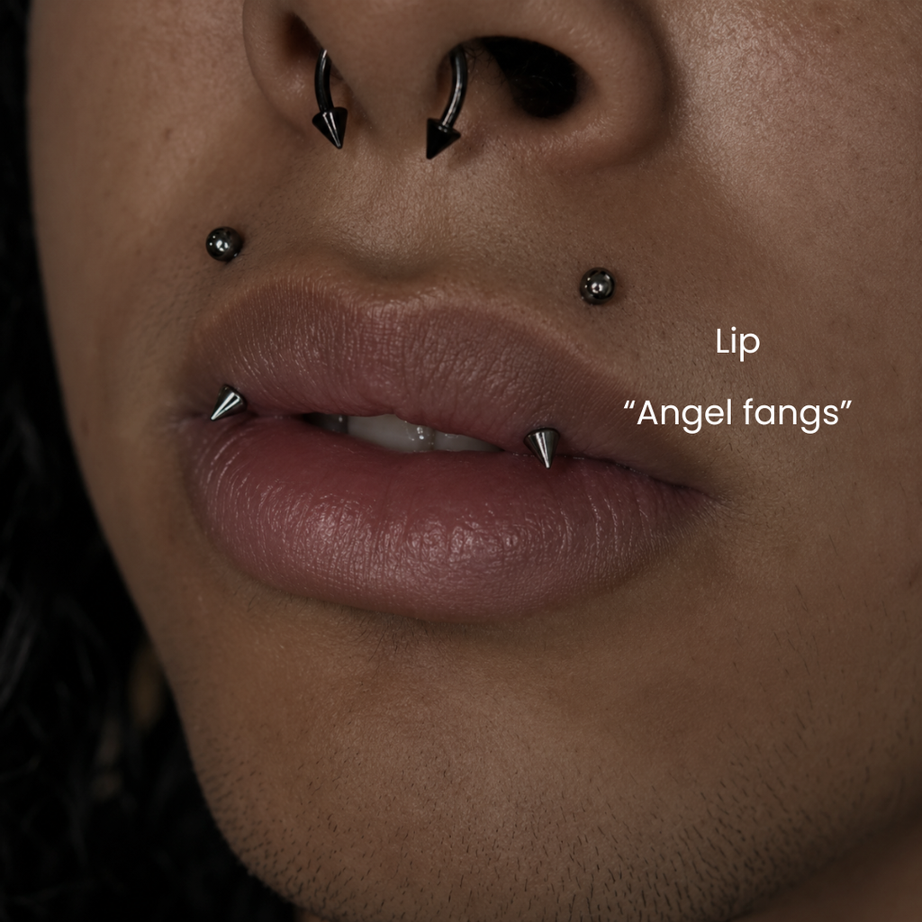 Close-up of angel fangs lip piercings with black spike jewelry and septum piercing styled in alternative body jewelry aesthetic at DOVIANA NYC.