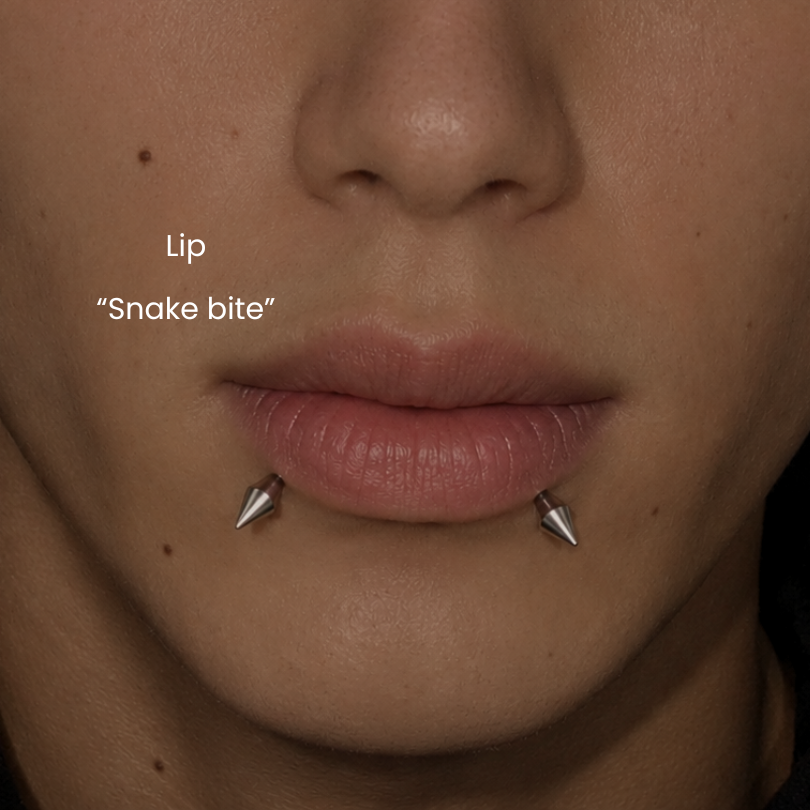 Close-up snake bite lip piercing by DOVIANA featuring symmetrical spike jewelry on the lower lip, professionally pierced in NYC using implant-grade titanium jewelry and needle piercing techniques.