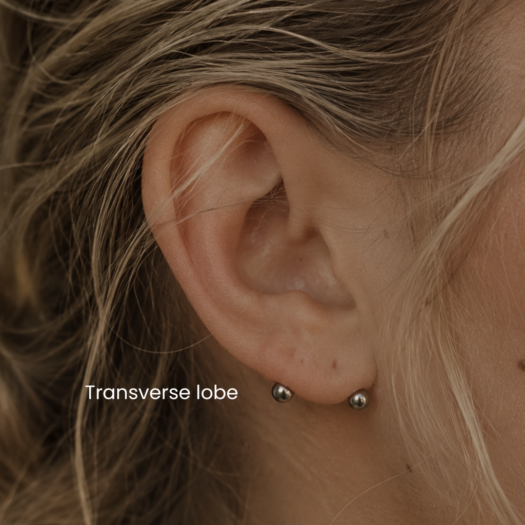 Close-up transverse lobe ear piercing by DOVIANA featuring implant-grade titanium barbell jewelry and professional needle piercing service in NYC with minimalist curated ear styling.